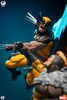 Wolverine - Fine Art Bust Deluxe Premium Collectibles Studio (PCS) Marvel Collectible Figure