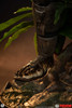 Predator - 1:2 Scale Premium Collectibles Studio (PCS) Predator Collectible Figure