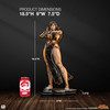 Chun-Li - 1:4 Scale Android Battle Edition