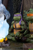 TMNT Movie Moment: Splinter’s Spirit