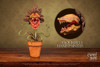 Carnivorous Plant