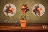 Carnivorous Plant