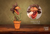 Carnivorous Plant