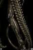 Big Chap - 1:2 Scale Statue