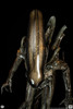 Big Chap - 1:2 Scale Statue