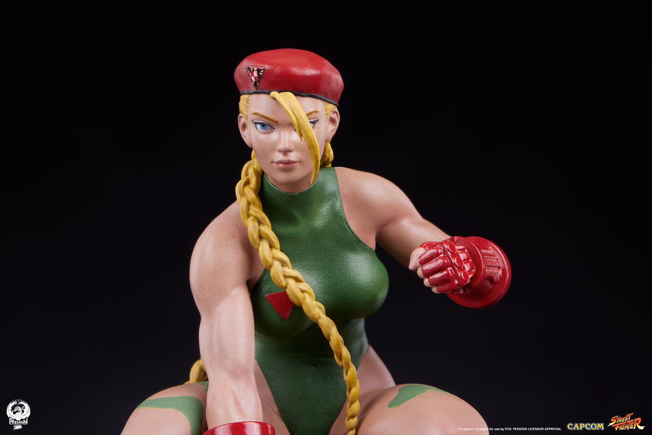 Cammy and Birdie - Street Jam Statue Set