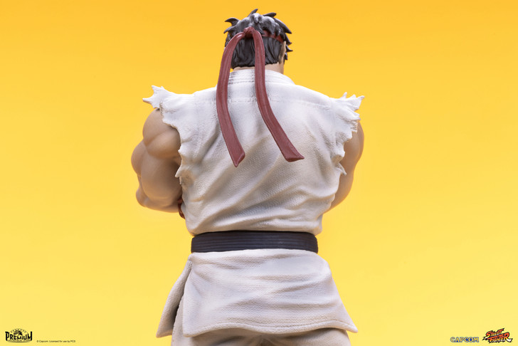 Ryu and Dan - Street Jam Statue Set
