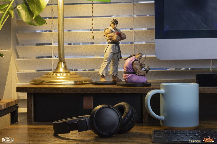 Ryu and Dan - Street Jam Statue Set