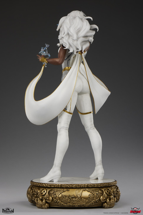 Storm Museum Collection