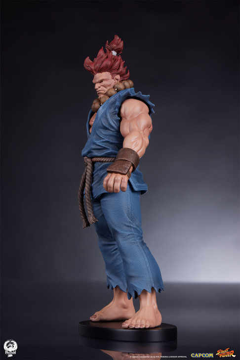 Akuma and Dhalsim - Street Jam Statue Set