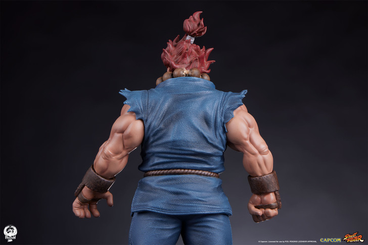 Akuma and Dhalsim - Street Jam Statue Set