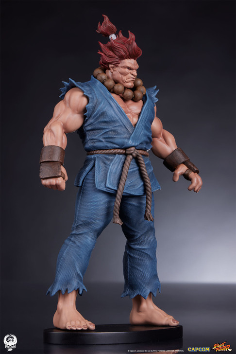Akuma and Dhalsim - Street Jam Statue Set