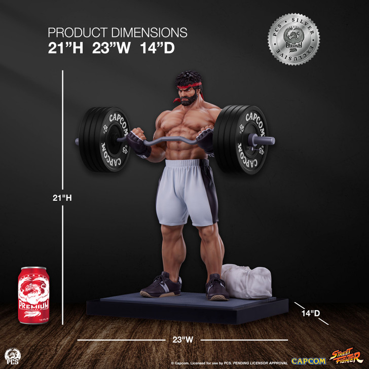 Ryu - Battle Silver Ex