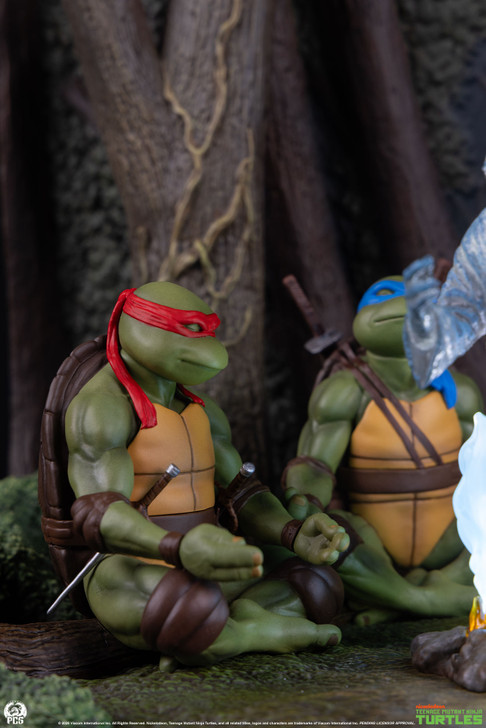 TMNT Movie Moment: Splinter’s Spirit