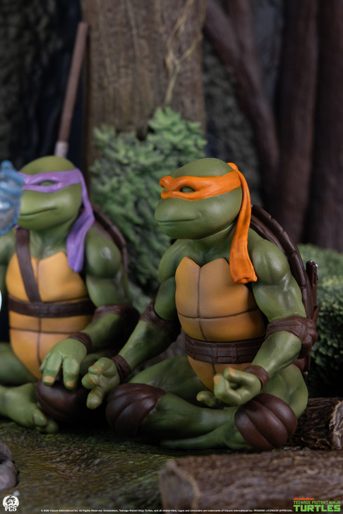 TMNT Movie Moment: Splinter’s Spirit