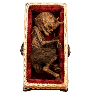 Mummified Satyr Specimen