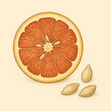 Grapefruit Seed Oil