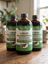 Liquid Chlorophyll by Natural Herbal Labs 16 oz Bottle (Pack of 3)