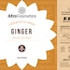  Ginger Essential Oil 100% Pure Natural Therapeutic Grade For Soap, Body, Skin, Hair, Diffuser and Candle Bulk Wholesale