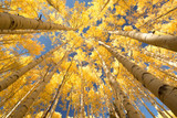 Utah's Best Fall Hiking Trails for Leaf-Peeping Season