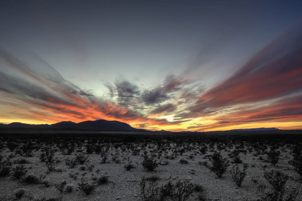 Insider's Guide to Big Bend National Park