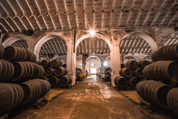 The World's First Winery