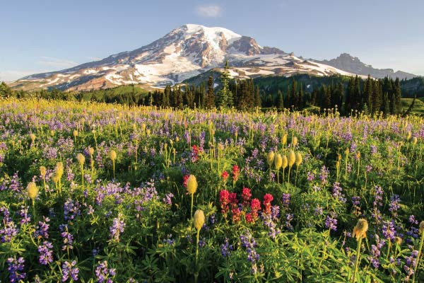 93 Miles Around Mount Rainier: How to Thru-Hike the Wonderland Trail