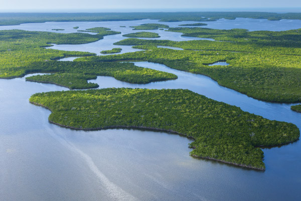 Insider's Guide to Everglades National Park - Campman