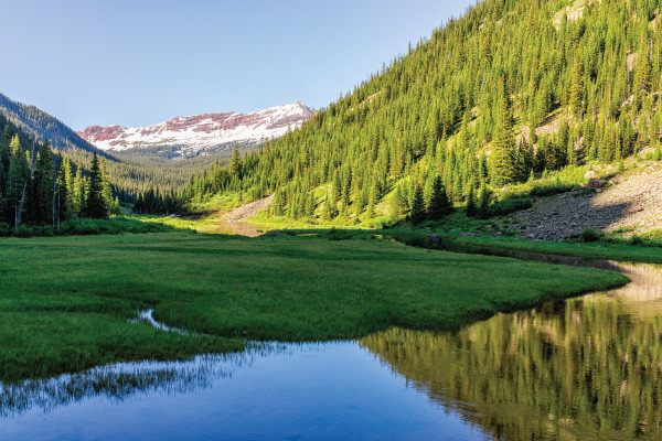 National Parks Too Crowded? Visit These 10 Nearby National Forests Instead.