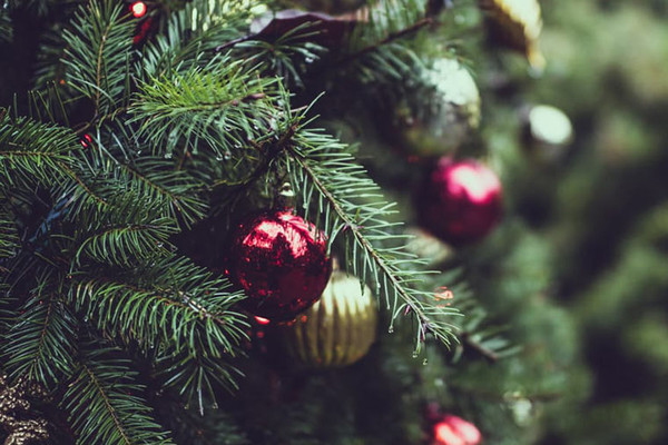 Eco-friendly Ways to Spruce Up Your Home for the Holidays