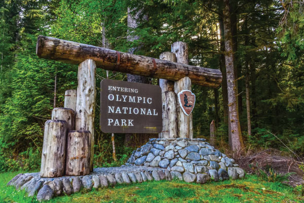 Insider's Guide to Olympic National Park