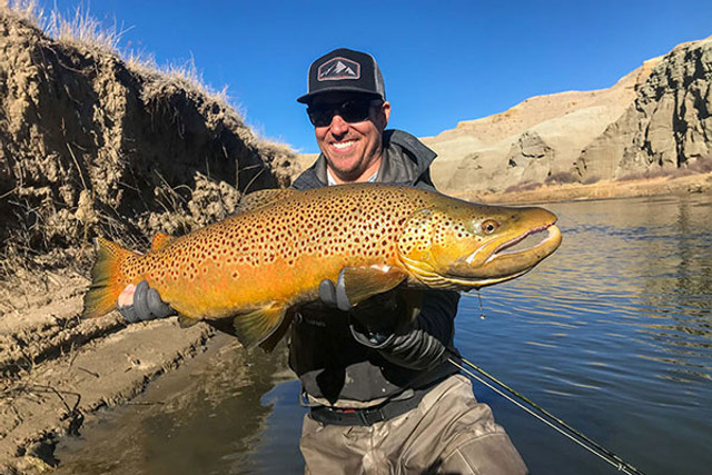How to Catch a Monster Brown on the Fly - Campman