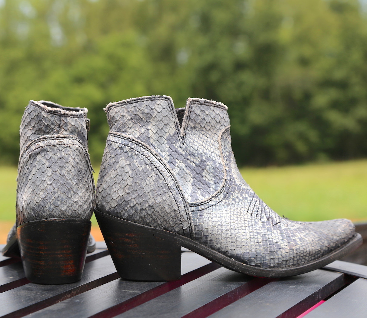 liberty black python boots