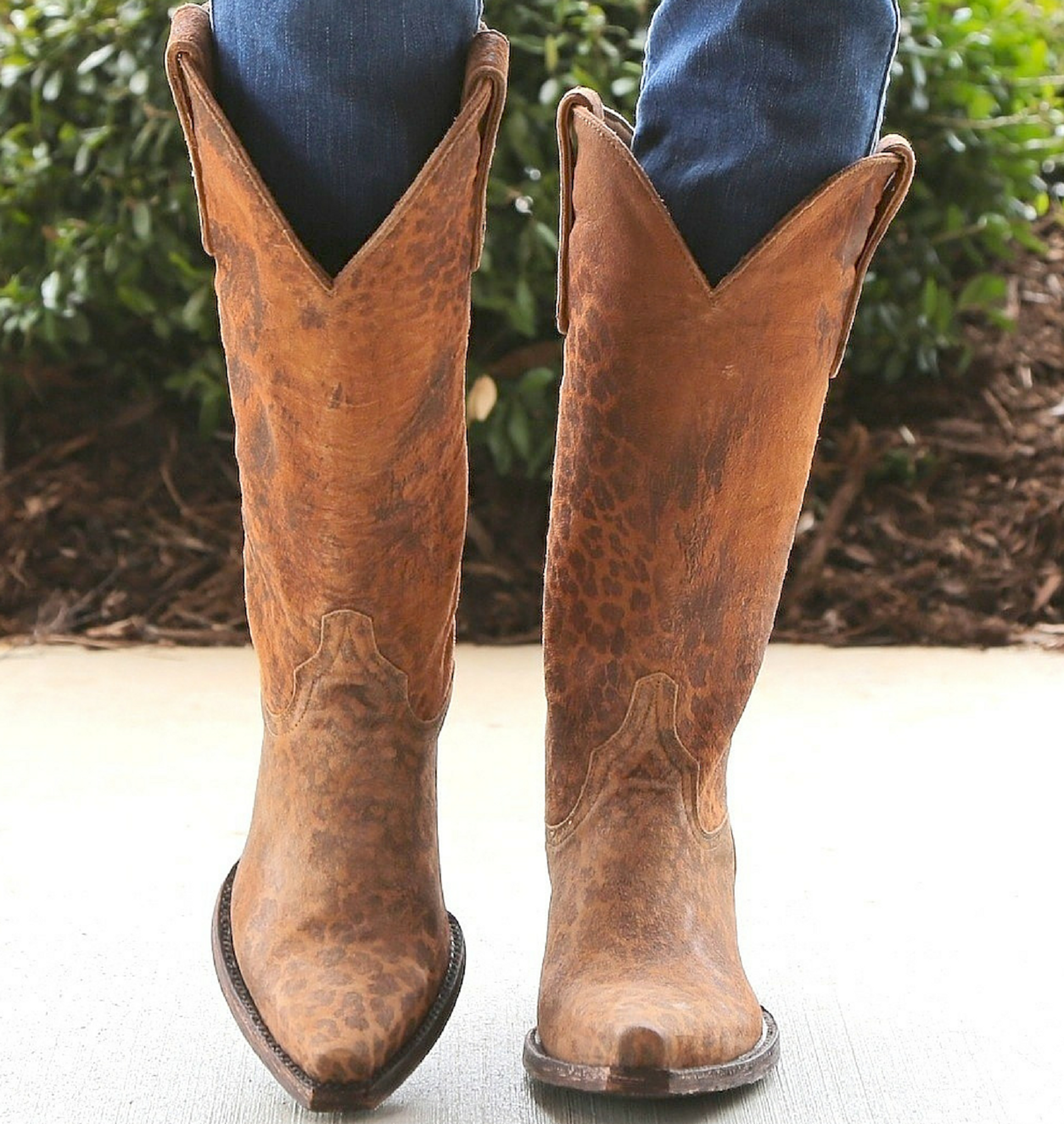 old gringo cheetah print boots