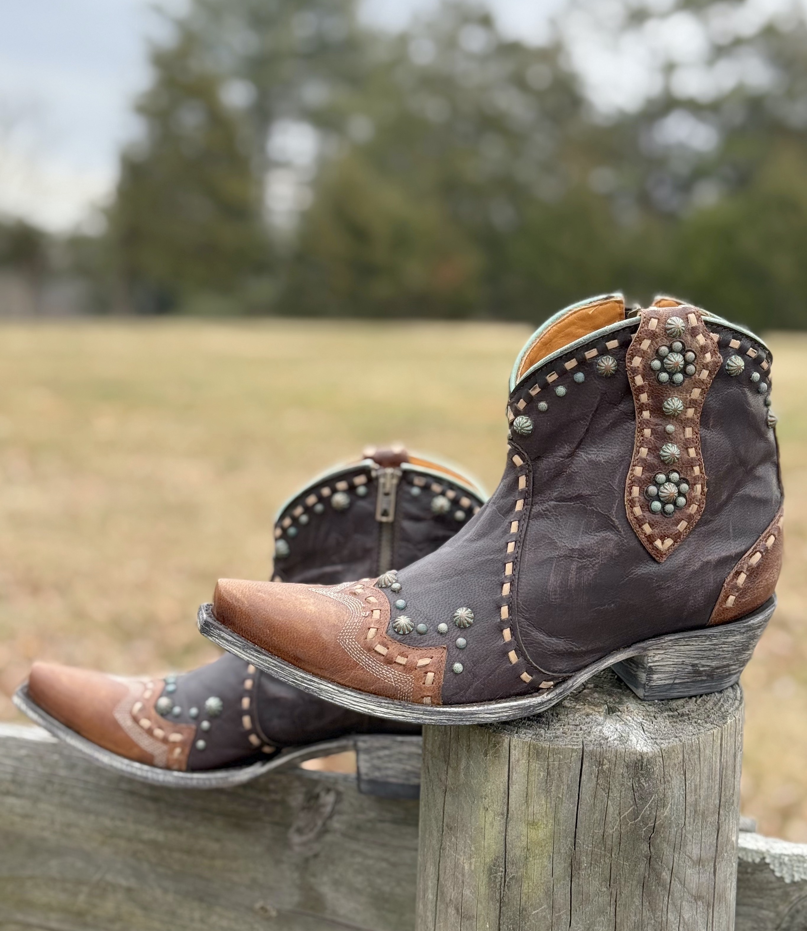 Old Gringo Cherrie Chocolate Oryx BL3315-1