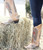 Corral Boots Antique Saddle Blue Jean Wing And Heart Main Picture