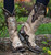 Old Gringo Bonnie Bone Boots L649-2 Image