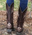 Old Gringo Julie Chocolate Boots L956-3 Back
