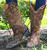 Old Gringo Linda Boots L1025-4 Picture