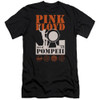 Image for Pink Floyd Premium Canvas Premium Shirt - Pompeii