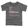 Image for Pink Floyd Arnold Layne Toddler T-Shirt