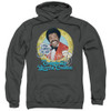 Image for The Love Boat Hoodie - Original Booze Cruise