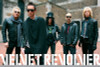 Velvet Revolver Poster - Group