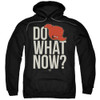 Image for Aqua Teen Hunger Force Hoodie - Say What Now?