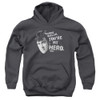 Image for Ferris Bueller's Day Off Youth Hoodie - My Hero