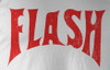 Image Closeup for Flash Gordon T-Shirt - Retro Logo