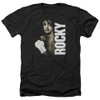 Image for Rocky Heather T-Shirt - Painted Rocky