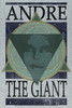 Image Closeup for Andre the Giant T-Shirt - Geometric