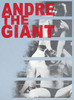 Image Closeup for Andre the Giant T-Shirt - Bars