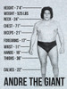 Image Closeup for Andre the Giant T-Shirt - Specs